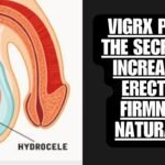 Vigrx Plus Erection Firmness